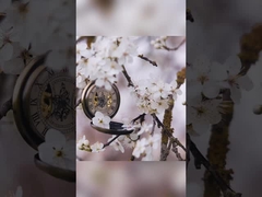 Lily Rose Osmanthus Diş Beyazlatıcı Diş Mağazası 400g Beyaz Kağıt Ambalajında