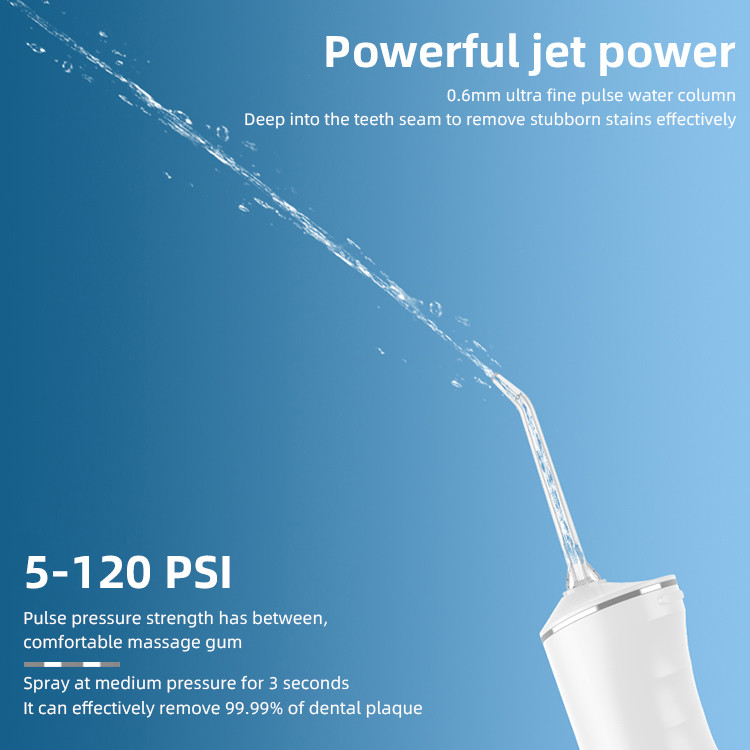 IPX7 Ev Ve Seyahat Diş Plağı Sökücü Diş Bakımı Irrigator Profesyonel Su Flosser