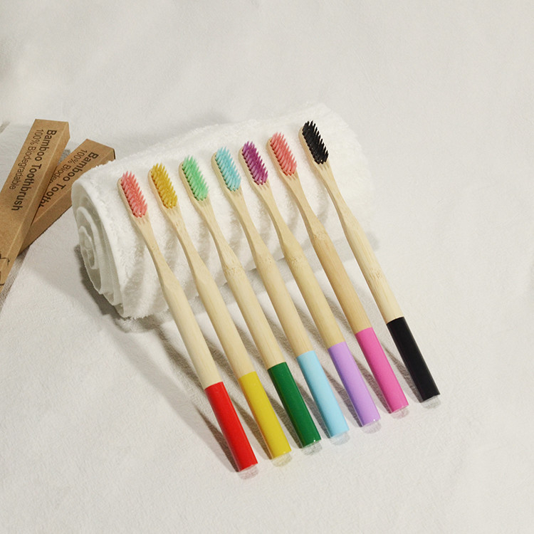 Yetişkin Ağız Bakımı vegan Bambu Kömür Diş Fırçası Karışık Renkli